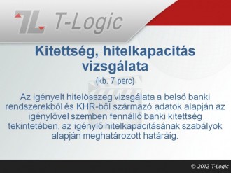 Kitettség, hitelkapacitás vizsgálata